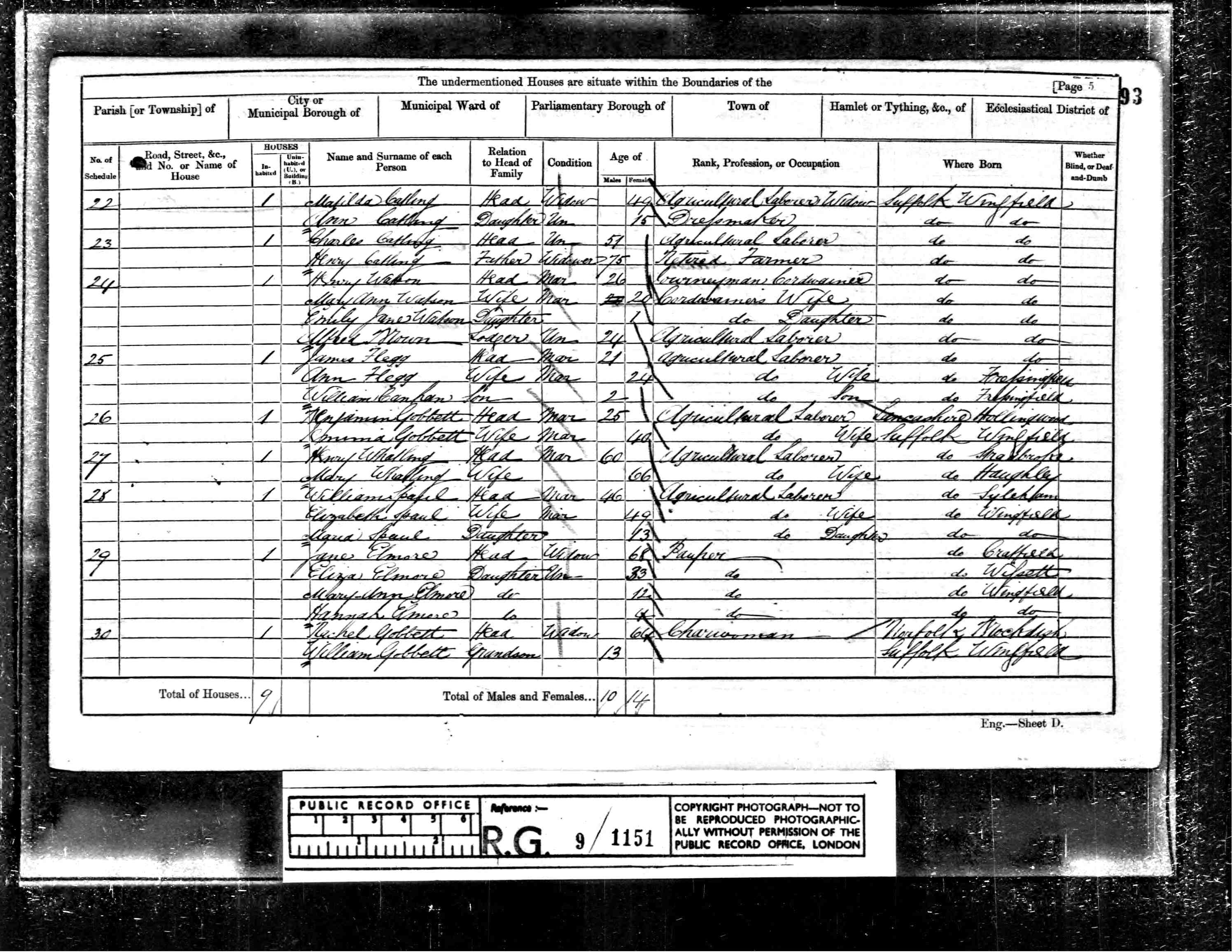 161 census stradbroke